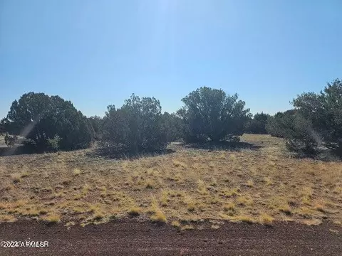 2301 Sitgreaves St #42, Show Low, AZ 85901