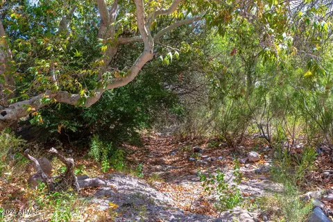 Other - 4664 E Miller Canyon Rd, Hereford, AZ 85615 photo 18 of 23