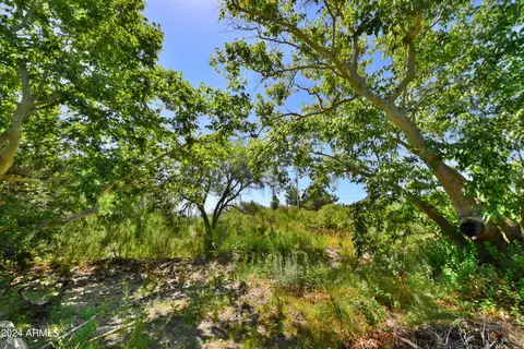 Other - 4664 E Miller Canyon Rd, Hereford, AZ 85615 photo 16 of 23
