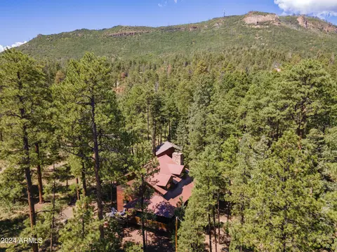 6 Cr 2070 --, Alpine, AZ 85920 photo 29
