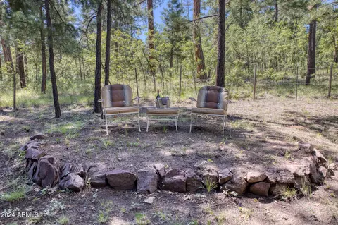 6 Cr 2070 --, Alpine, AZ 85920 photo 31