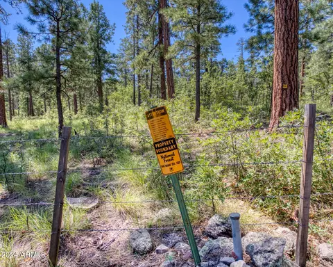 6 Cr 2070 --, Alpine, AZ 85920 photo 33