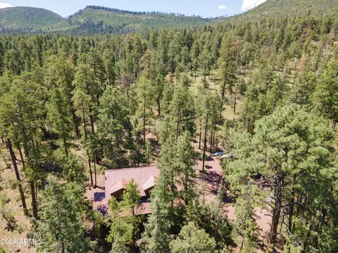 6 Cr 2070 --, Alpine, AZ 85920 photo 30