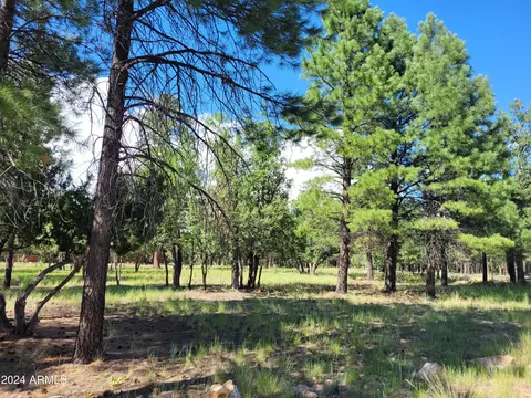 4097 Timberline Dr #34, Happy Jack, AZ 86024