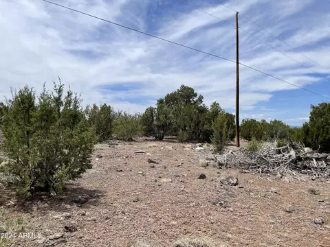 0 N N8166 And Stanford Dr #LOT C, Vernon, AZ 85940