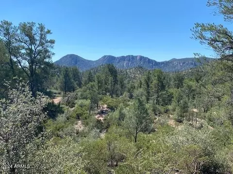 1003 S Dells Pt #161, Payson, AZ 85541 photo 2