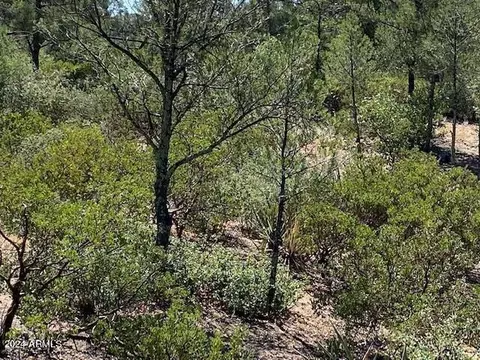 1003 S Dells Pt #161, Payson, AZ 85541 photo 8