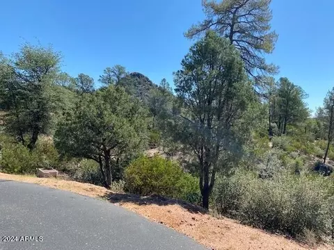 1003 S Dells Pt #161, Payson, AZ 85541 photo 14