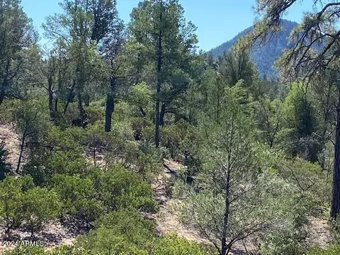 1003 S Dells Pt #161, Payson, AZ 85541 photo 6