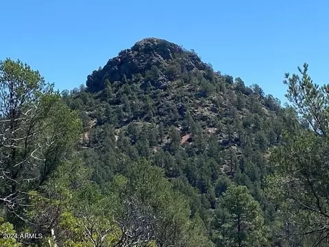 1003 S Dells Pt #161, Payson, AZ 85541 photo 5