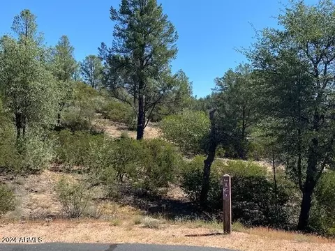 1003 S Dells Pt #161, Payson, AZ 85541 photo 10