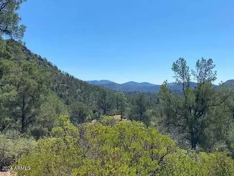 1003 S Dells Pt #161, Payson, AZ 85541 photo 3