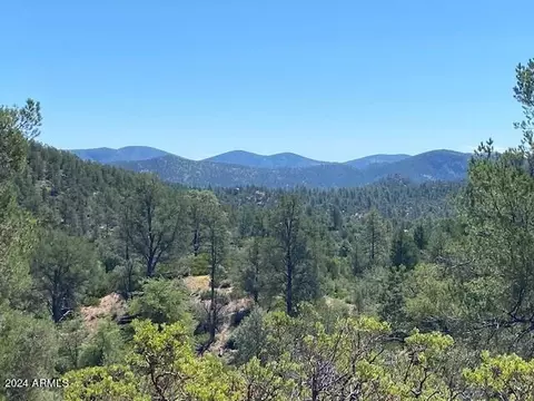 1003 S Dells Pt #161, Payson, AZ 85541 photo 4