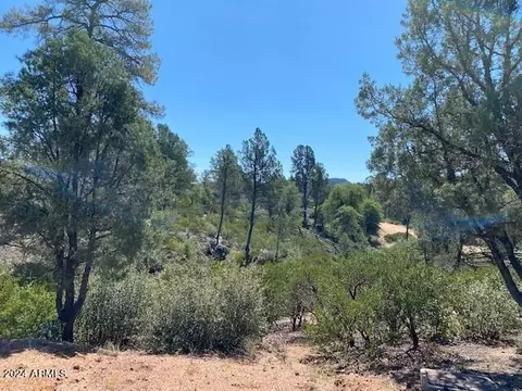 1003 S Dells Pt #161, Payson, AZ 85541 photo 7