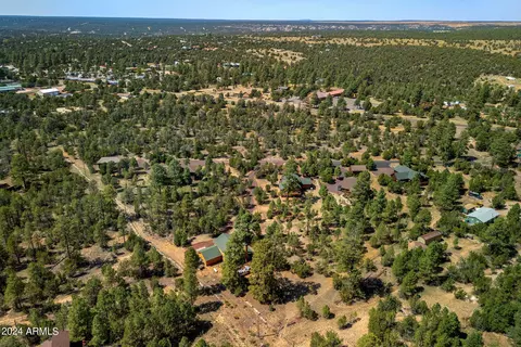 3365 Tree View Path, Overgaard, AZ 85933 photo 32