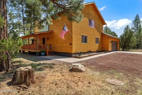 3365 Tree View Path, Overgaard, AZ 85933 photo 28