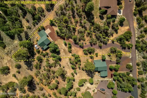 3365 Tree View Path, Overgaard, AZ 85933 photo 34