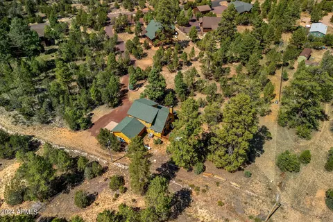 3365 Tree View Path, Overgaard, AZ 85933 photo 33