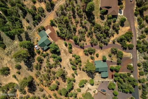 3365 Tree View Path, Overgaard, AZ 85933 photo 30