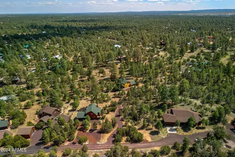 3365 Tree View Path, Overgaard, AZ 85933 photo 31