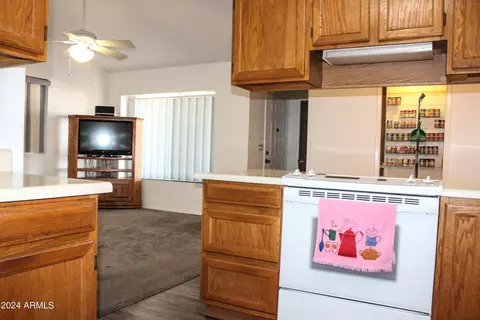 455 S 33rd Pl, Mesa, AZ 85204 photo 16