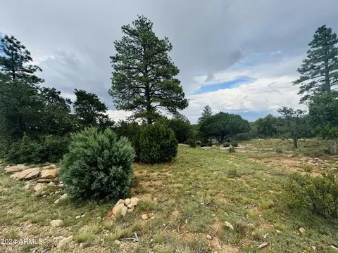3603 Sunset Ridge Loop #165, Happy Jack, AZ 86024