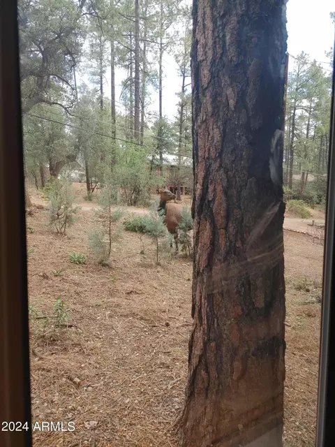6625 Ute Trl, Pine, AZ 85544 photo 24