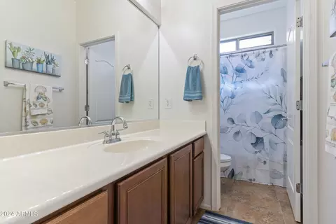 10864 E Reginald Ave, Mesa, AZ 85212 photo 49