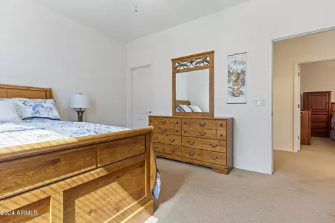 10864 E Reginald Ave, Mesa, AZ 85212 photo 45