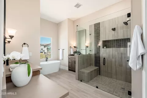 Bath - 3518 N Shadow Trl, Mesa, AZ 85207 photo 3 of 6