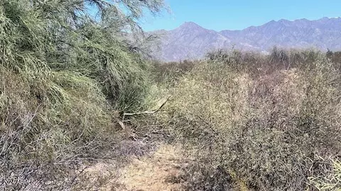 -- -- -- #-, Goodyear, AZ 85338 photo 2