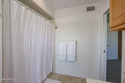 Bath - 3202 E Las Rocas Dr, Phoenix, AZ 85028 photo 3 of 9