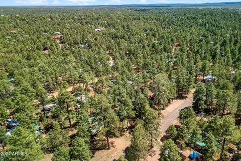 2965 Lone Star Dr, Overgaard, AZ 85933 photo 37