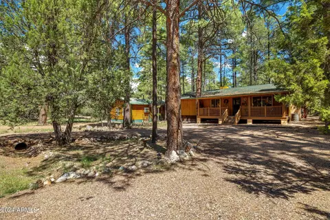 2965 Lone Star Dr, Overgaard, AZ 85933 photo 3