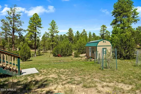 2923 Red Cinder Rd, Overgaard, AZ 85933 photo 24
