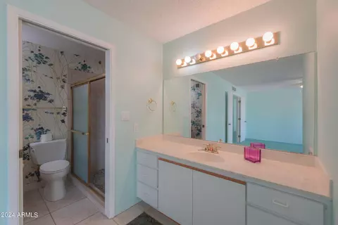 Bath - 4906 E Lake Point Cir, Phoenix, AZ 85044 photo 3 of 3