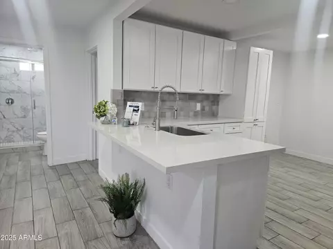 2209 E Sheridan St, Phoenix, AZ 85006 photo 12