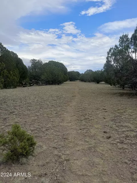 16306 Ranch Rd #86, Seligman, AZ 86337
