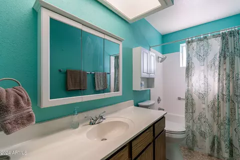 Bath - 8232 E Lakeview Ave, Mesa, AZ 85209 photo 2 of 2