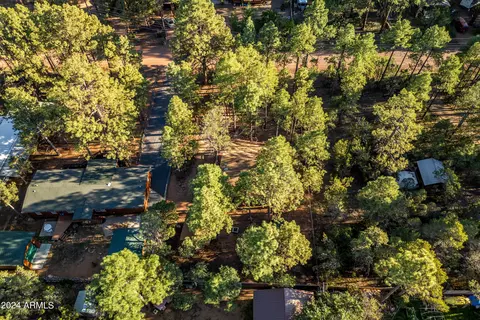 2148 Northwoods Dr, Overgaard, AZ 85933 photo 32