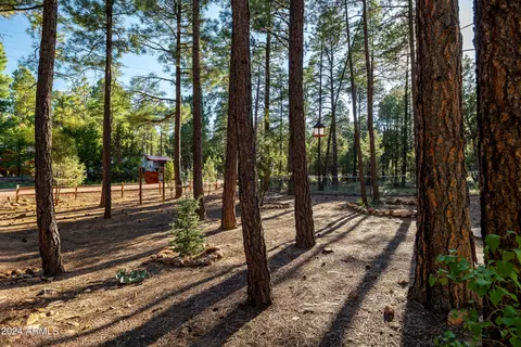 2148 Northwoods Dr, Overgaard, AZ 85933 photo 4