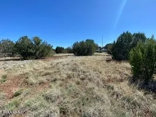 8459 Canyon Dr #42, Show Low, AZ 85901