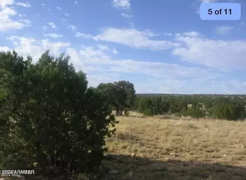 Sec 9 T14n,r16e:n2,ne4,nw4 -- #'''-''', Heber, AZ 85928