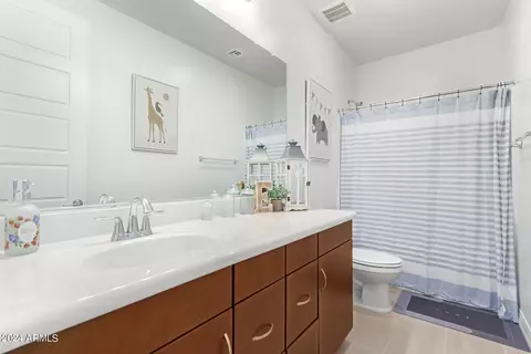 10044 E Tiburon Ave, Mesa, AZ 85212 photo 29