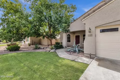 1259 E Macaw Dr, Gilbert, AZ 85297 photo 4