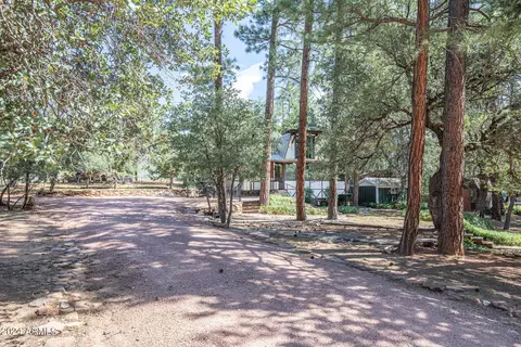 8594 W Lufkin Dr, Pine, AZ 85544 photo 29