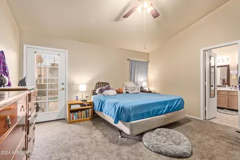 7517 E Hannibal St, Mesa, AZ 85207 photo 19