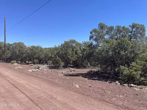 0 Show Low Pines Unit 8 Lot 346 Rd #346, Show Low, AZ 85901