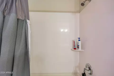 Bath - 11040 E Tumbleweed Ave, Mesa, AZ 85212 photo 3 of 10