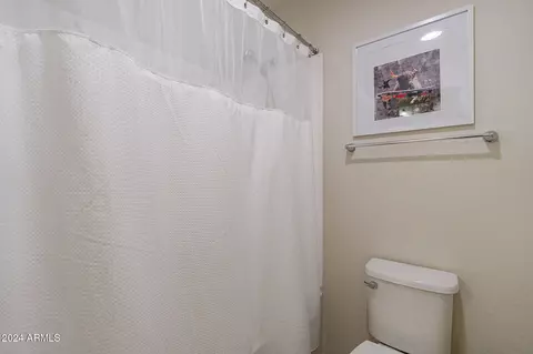 Bath - 11040 E Tumbleweed Ave, Mesa, AZ 85212 photo 6 of 10